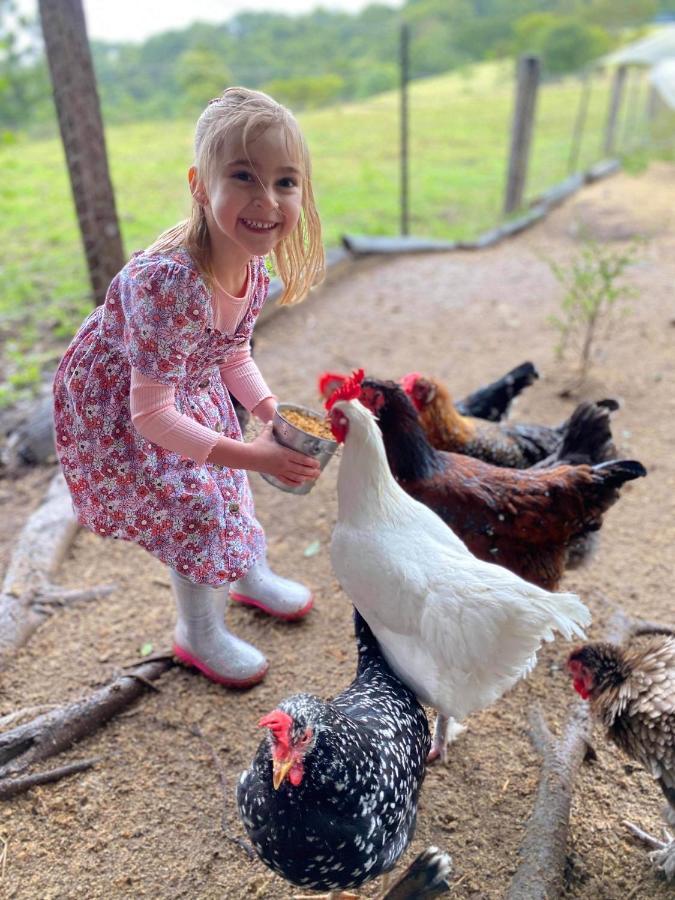 Rosecliffe Farm Cottages Pomona Екстериор снимка